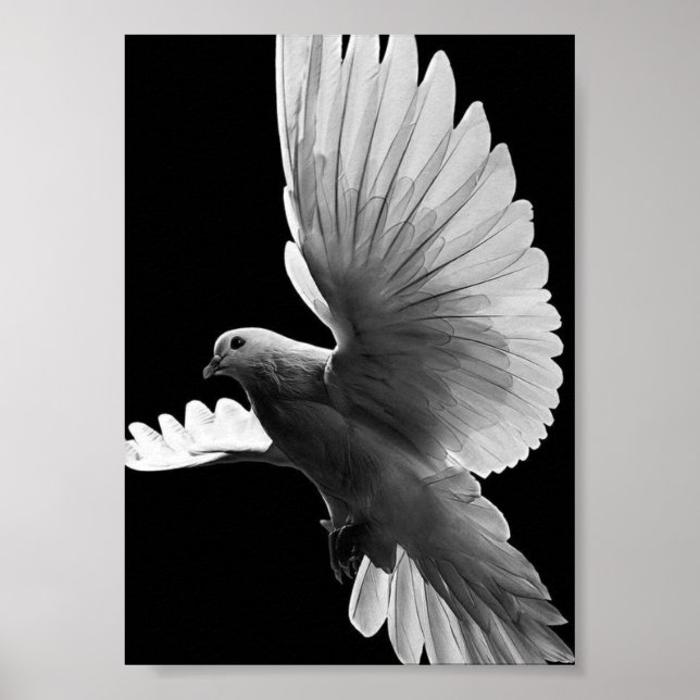 Poster Pombo Branco (Frente)
