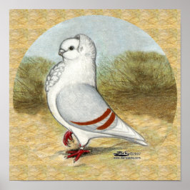 Póster Pombo De Coruja Alemã Na Ronda