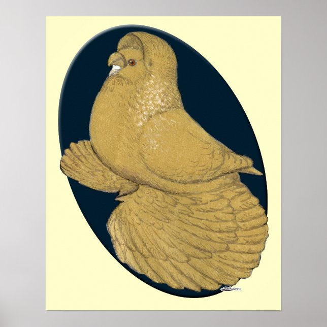 Póster Pombo do Trompeter Inglês: Amarelo Oval (Frente)