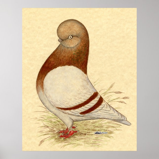 Poster Pombo do Tumbler: LFCL Mealy (Frente)