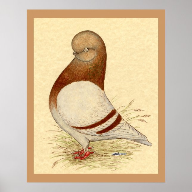 Póster Pombo do Tumbler: LFCL Mealy (Frente)