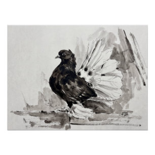 Póster Pombo Fantail Indiano Eyeliner Galinha