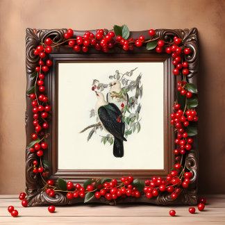 Poster Pombo-Fruta-cabeça-branca, Vintage