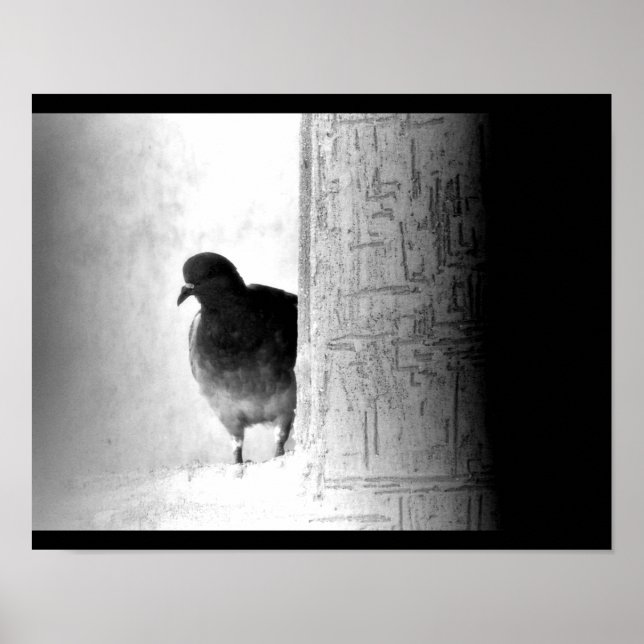 Poster Pombo Misterioso (Frente)