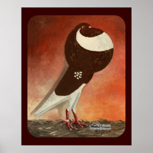 Póster Pombo vermelho do cultivador de Norwich