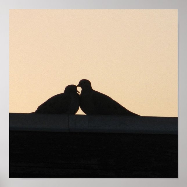 Póster Pombos (Frente)