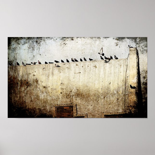 Póster Pombos (Frente)