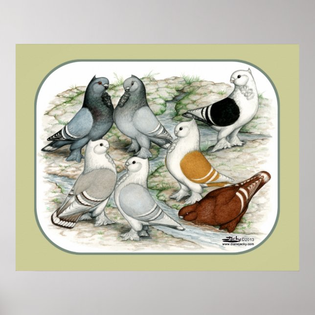 Póster Pombos Clássicos de Barro Vermelho (Frente)