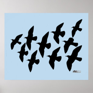 Poster Pombos de Voo Voadores