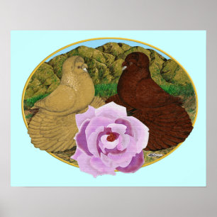 Poster Pombos Trombeteiros e Rosa