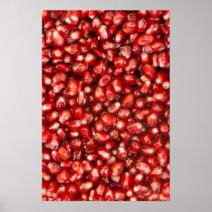Póster Pomegranate