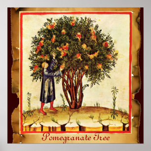 PÓSTER POMEGRANATE TREE ANTIQUE PARCHMENT