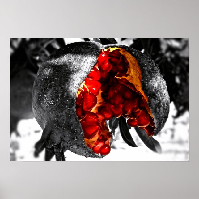 Poster Pomegranato (Frente)