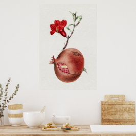 Poster Pomegranato de safra