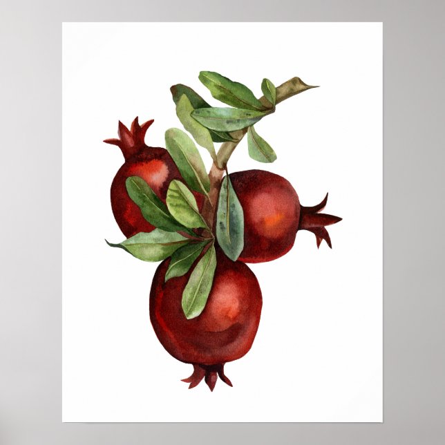 Poster Pomegranato Orgânico (Frente)