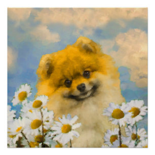 Póster Pomerânia em Pintura de Dísias - Arte de Cachorr