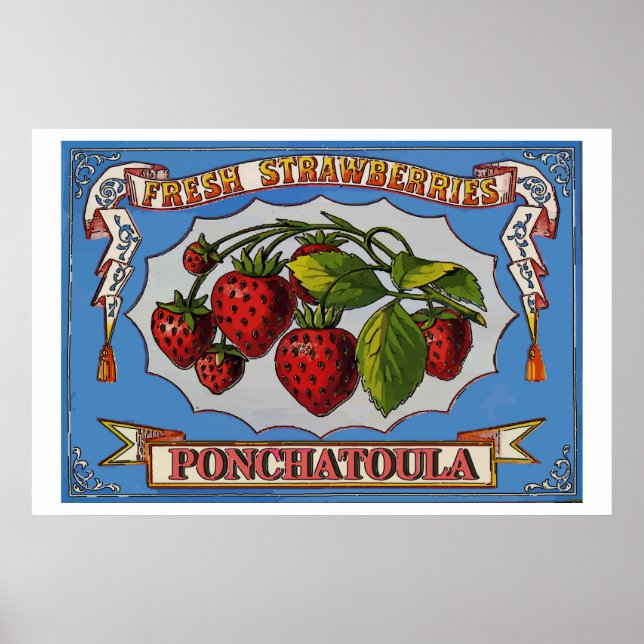 Póster Ponchatoula Strawberry, LA (Frente)