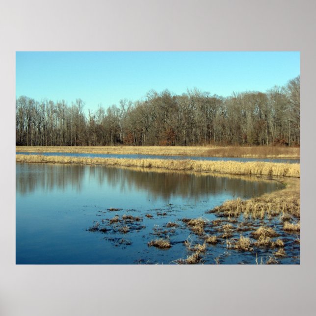 Poster Pond (Frente)