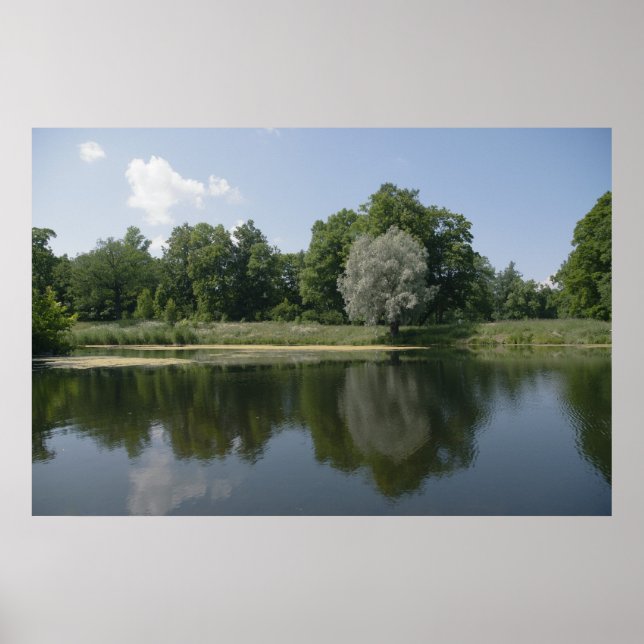 Poster Pond (Frente)