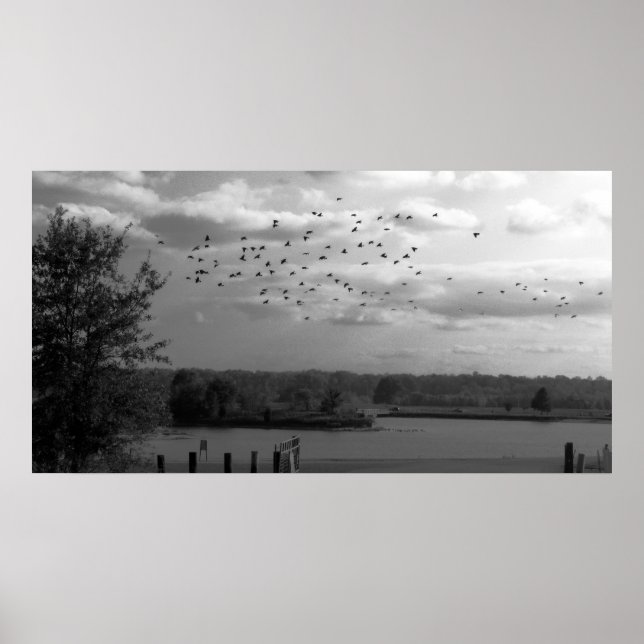 Póster Pond (Frente)