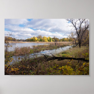 Poster Pond Marshes e Woodlands do Refúgio de Vida Selva