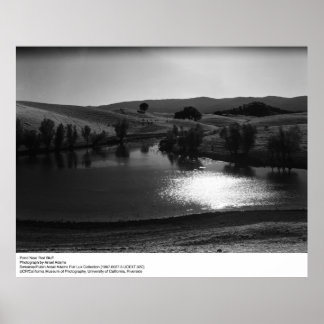 Póster Pond Near Red Bluff por Ansel Adams