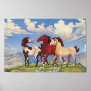 Póster Pôneis de vaca ocidentais