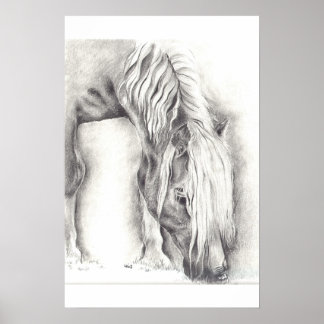 Póster Pôneo de Grazing