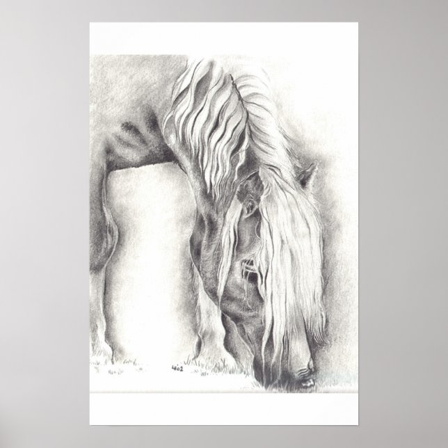 Póster Pôneo de Grazing (Frente)