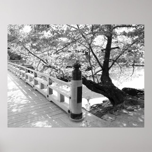 Poster Ponte (Frente)