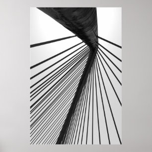 Poster Ponte