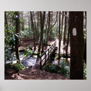 Póster Ponte Appalachian Trail em Laurel Fork Tennessee