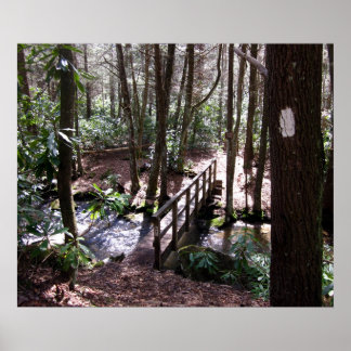 Póster Ponte Appalachian Trail em Laurel Fork Tennessee