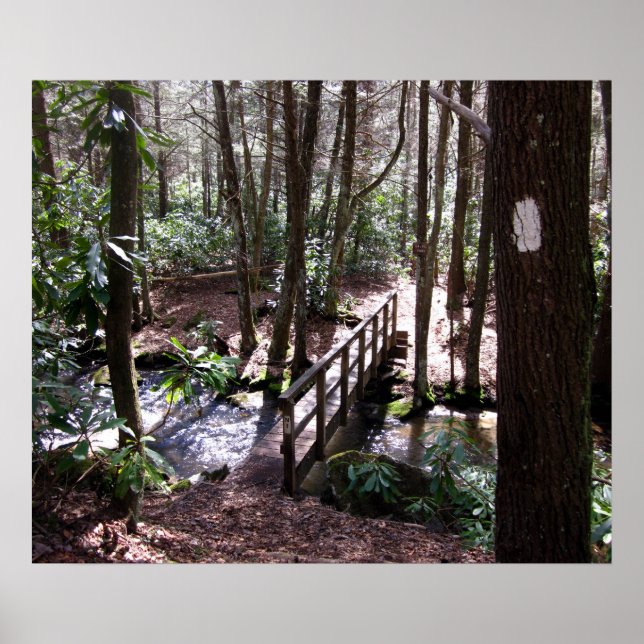 Póster Ponte Appalachian Trail em Laurel Fork Tennessee (Frente)