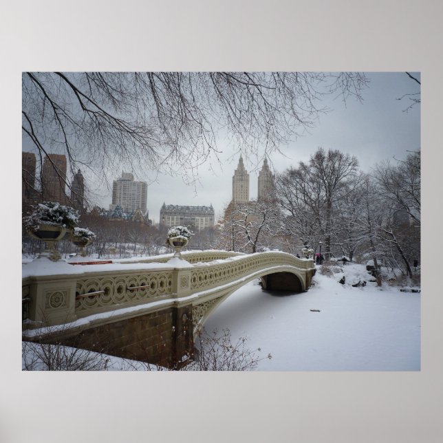 Póster Ponte arco em inverno, Central Park, NYC, Todos os (Frente)