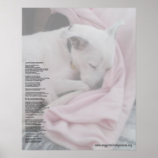 Póster Ponte arco-íris do resgate (editada)