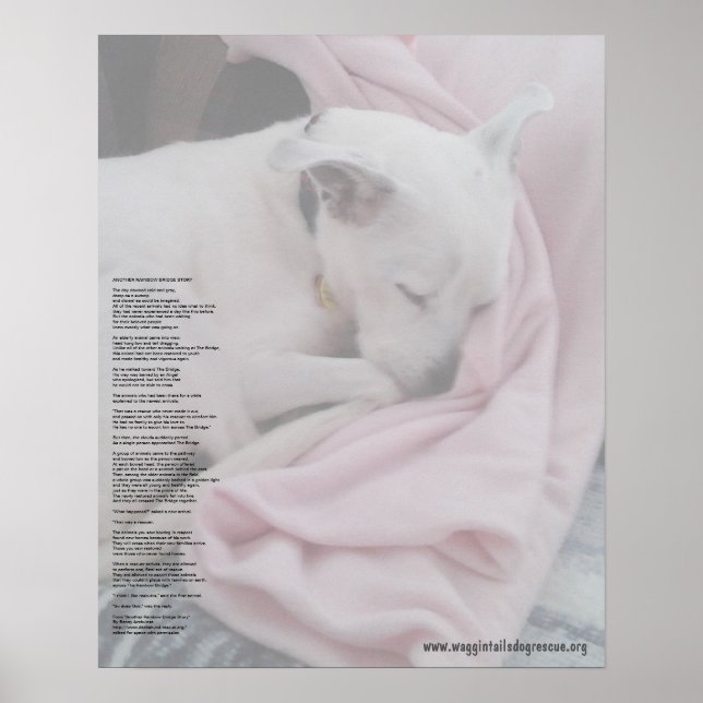 Póster Ponte arco-íris do resgate (editada) (Frente)