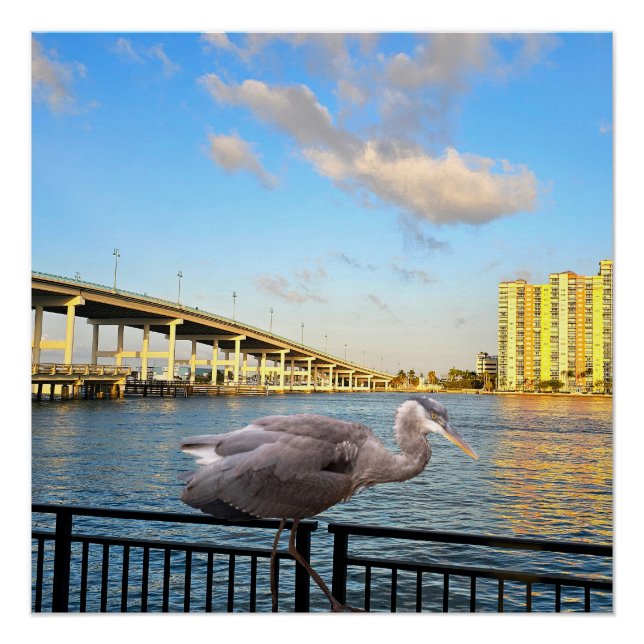 Póster Ponte Blue Heron. Riviera Beach. Flórida (Frente)