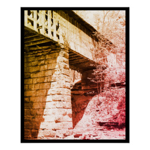 Póster Ponte coberta