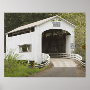 Póster Ponte coberta de Gato Selvagem, Condado de Lane, O