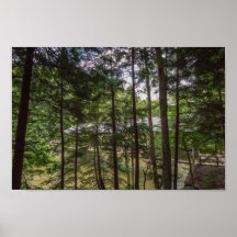 Ponte coberta do Parque Estadual de Mohican, Ohio.