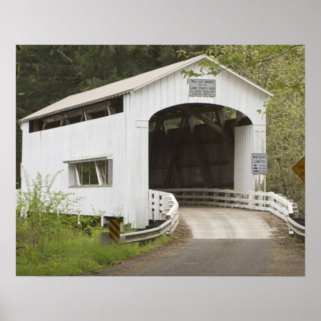 Póster Ponte coberta Wild Cat, Condado de Lane, Oregon (Frente)