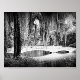 Póster Ponte da Magnolia