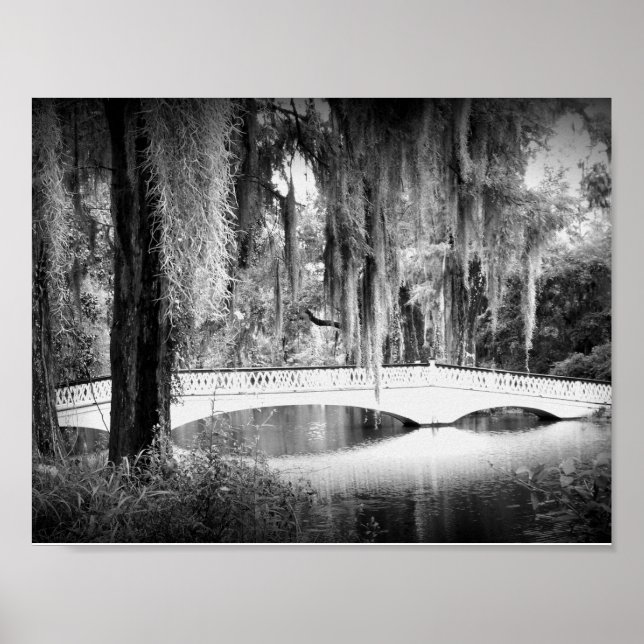 Póster Ponte da Magnolia (Frente)