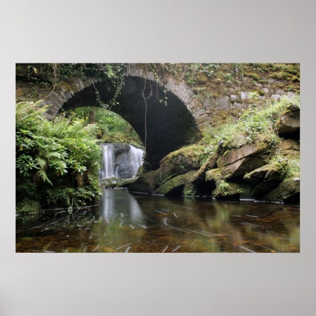 Póster Ponte de Carga Aquática de Torc (Frente)