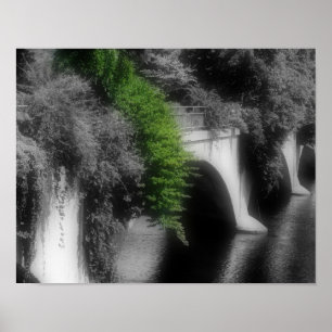 Póster Ponte De Flores De Cor Parcial