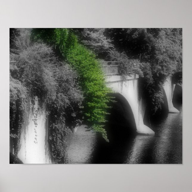 Póster Ponte De Flores De Cor Parcial (Frente)