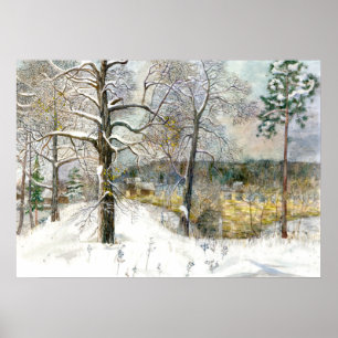 Poster ponte de inverno