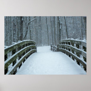 Póster Ponte de inverno