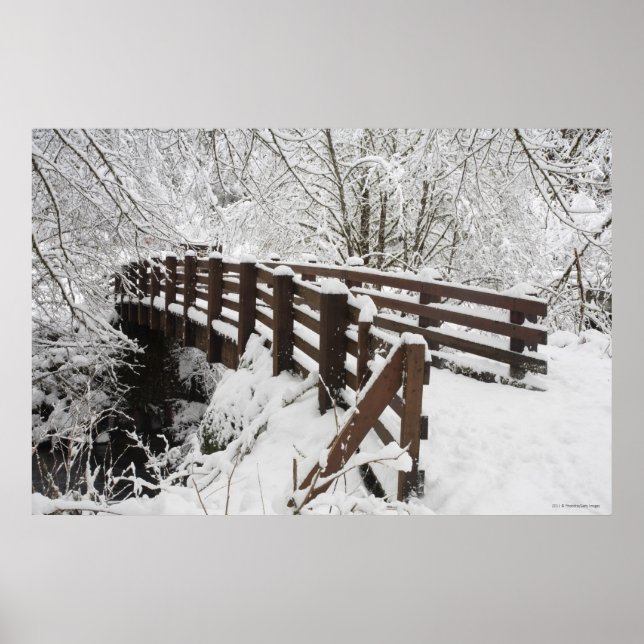 Poster Ponte de madeira coberta de neve (Frente)